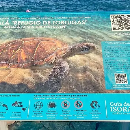Center Playa Alcala (Tenerife)